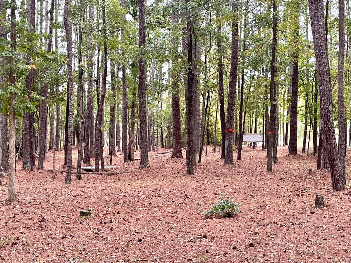 Hole 7 Fairway PT1