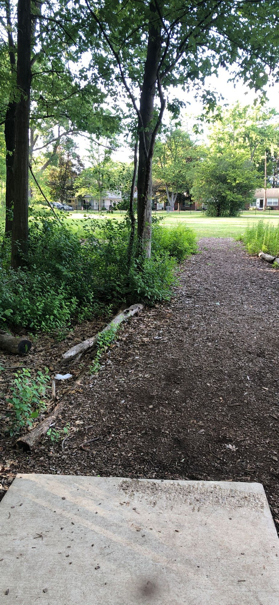 Hole 7