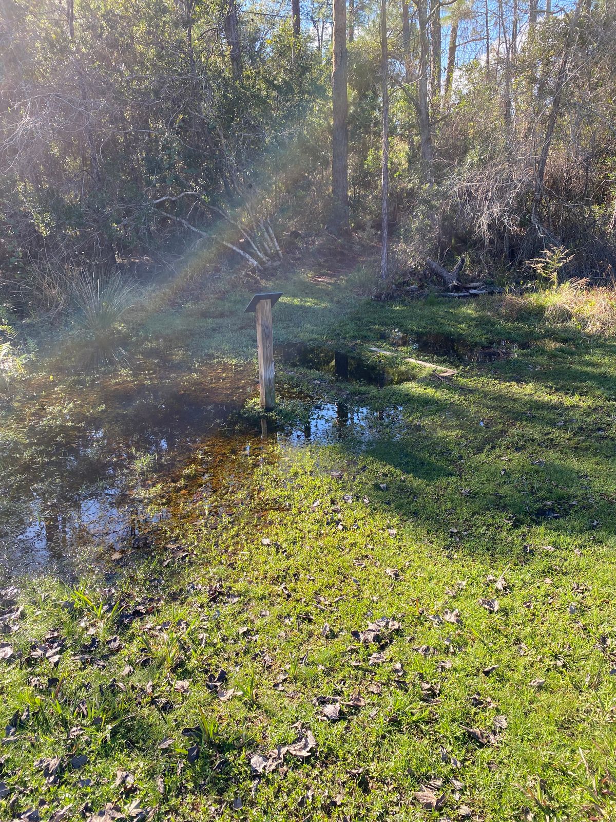 Hole 6 Tee flooded