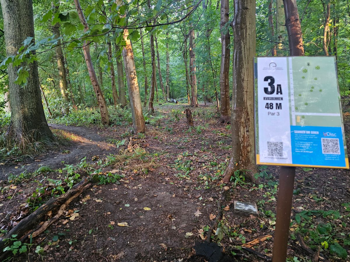 Tee 3a