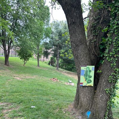Hole 1 (White)