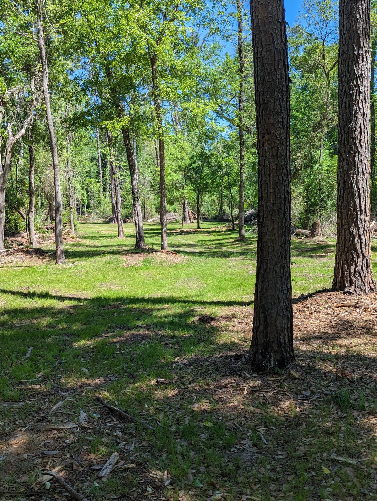 Hole 10 Fairway