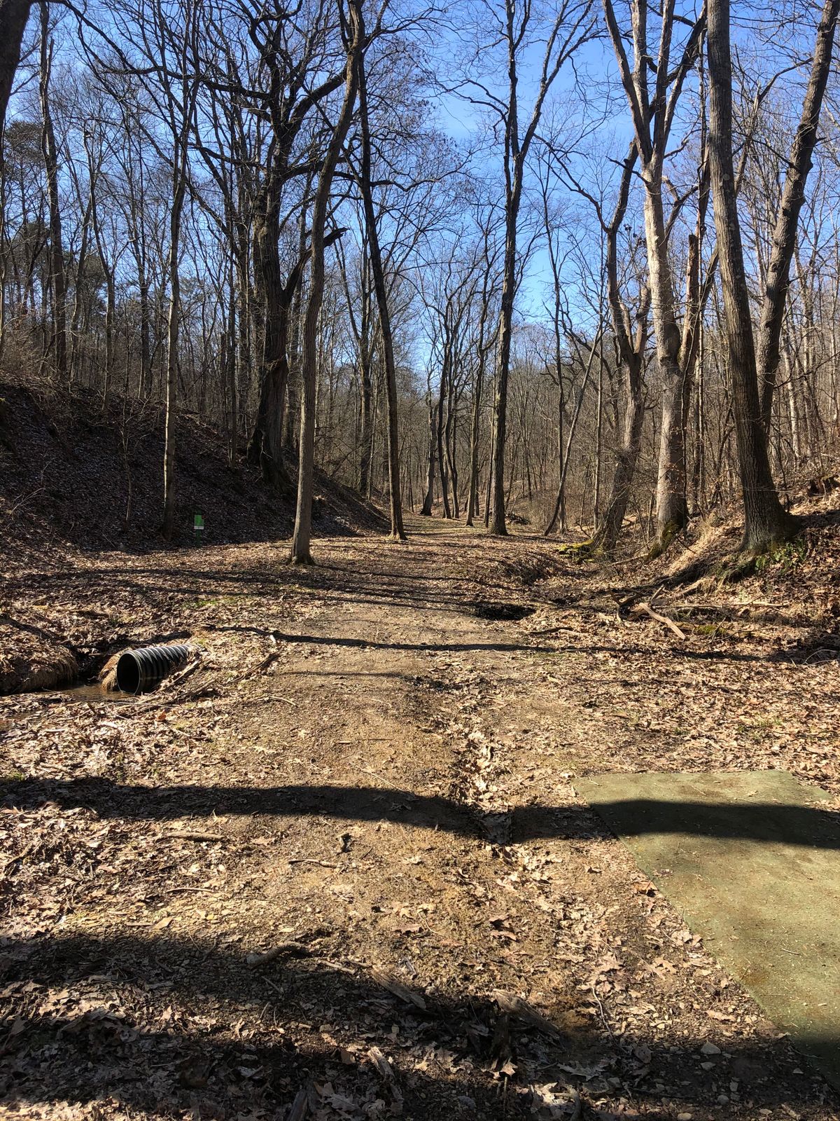 #3 middle tee