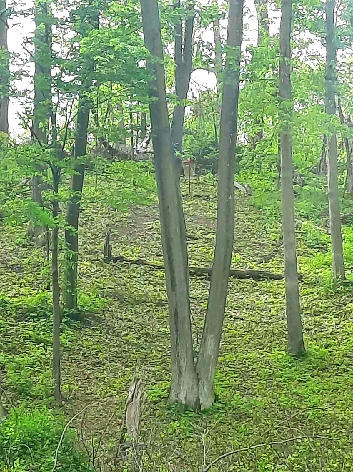 Hole 16