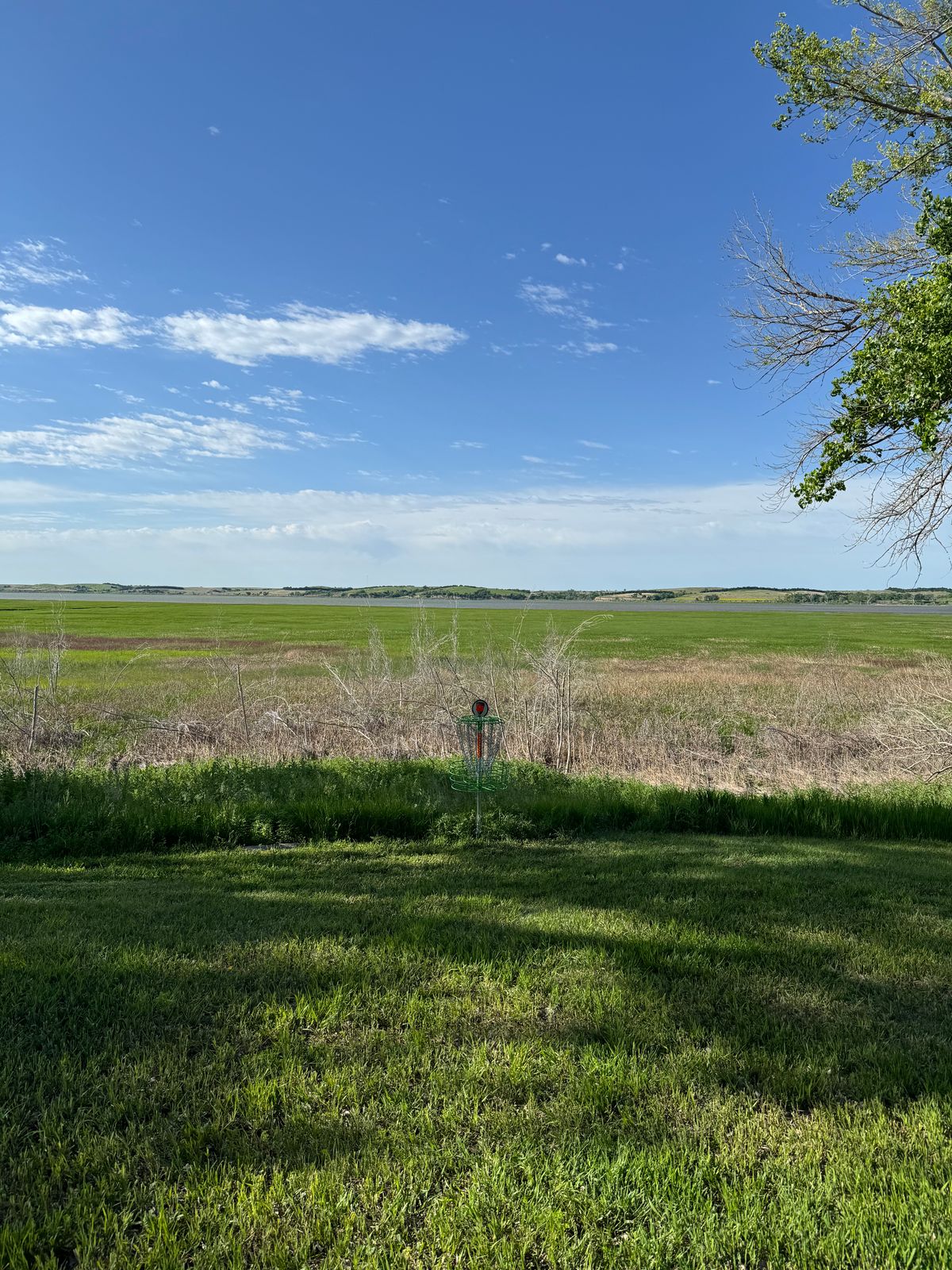 Hole 10 basket