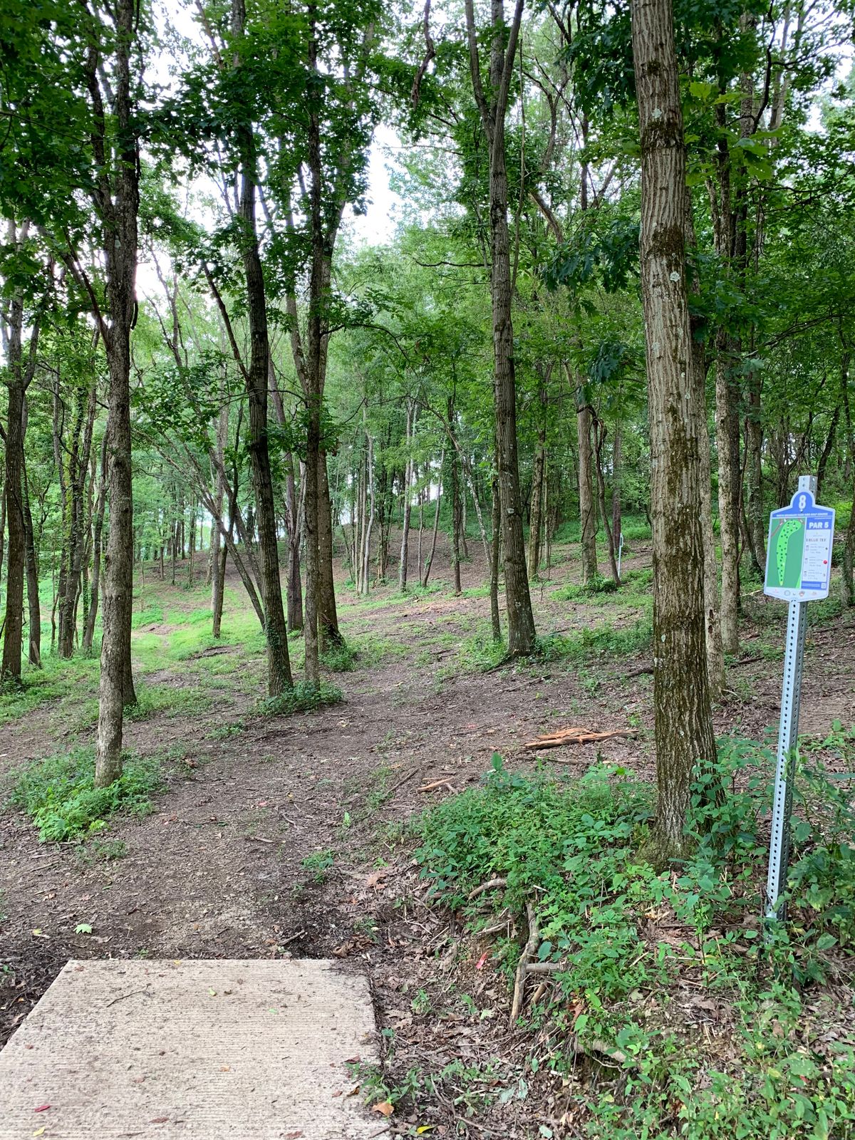 Hole 8 blue tee