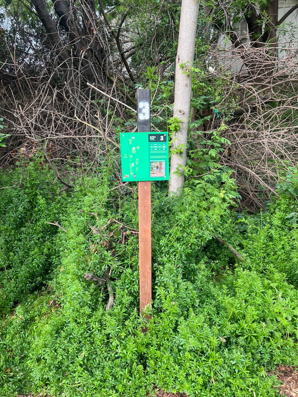 Hole 3 Tee Sign