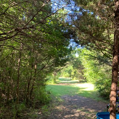 9 slight dogleg left