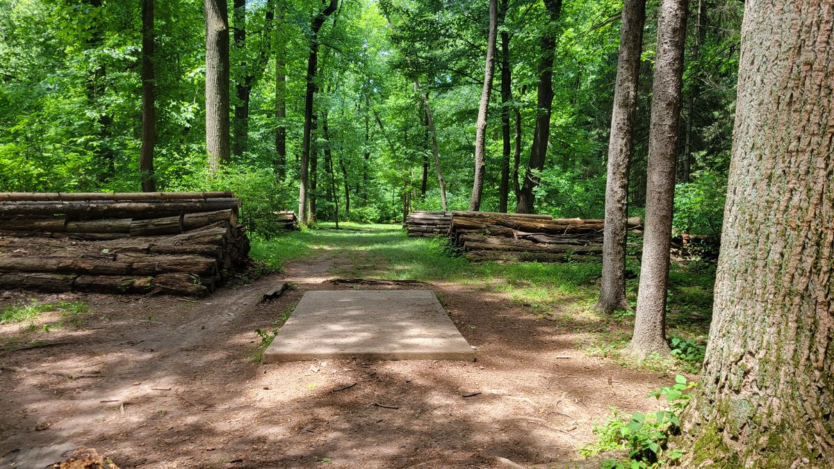 Hole 3 Short Tee