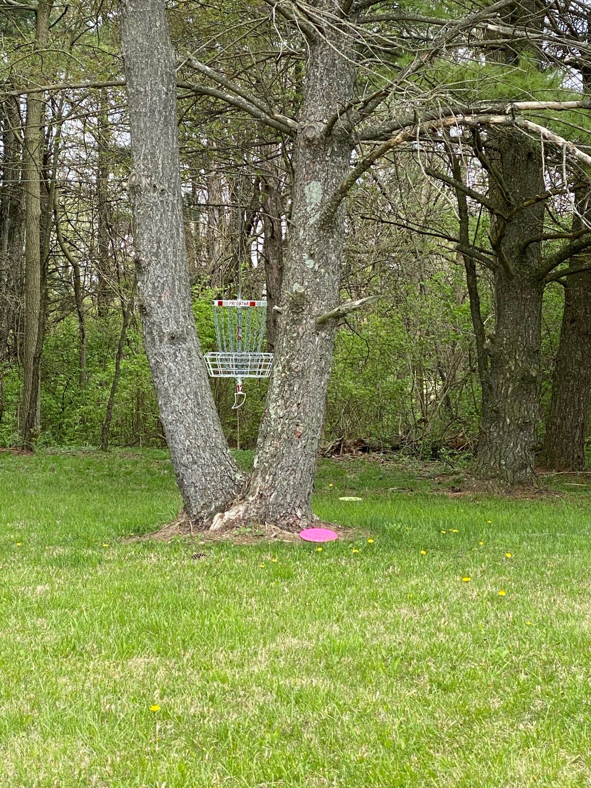 Hole 12