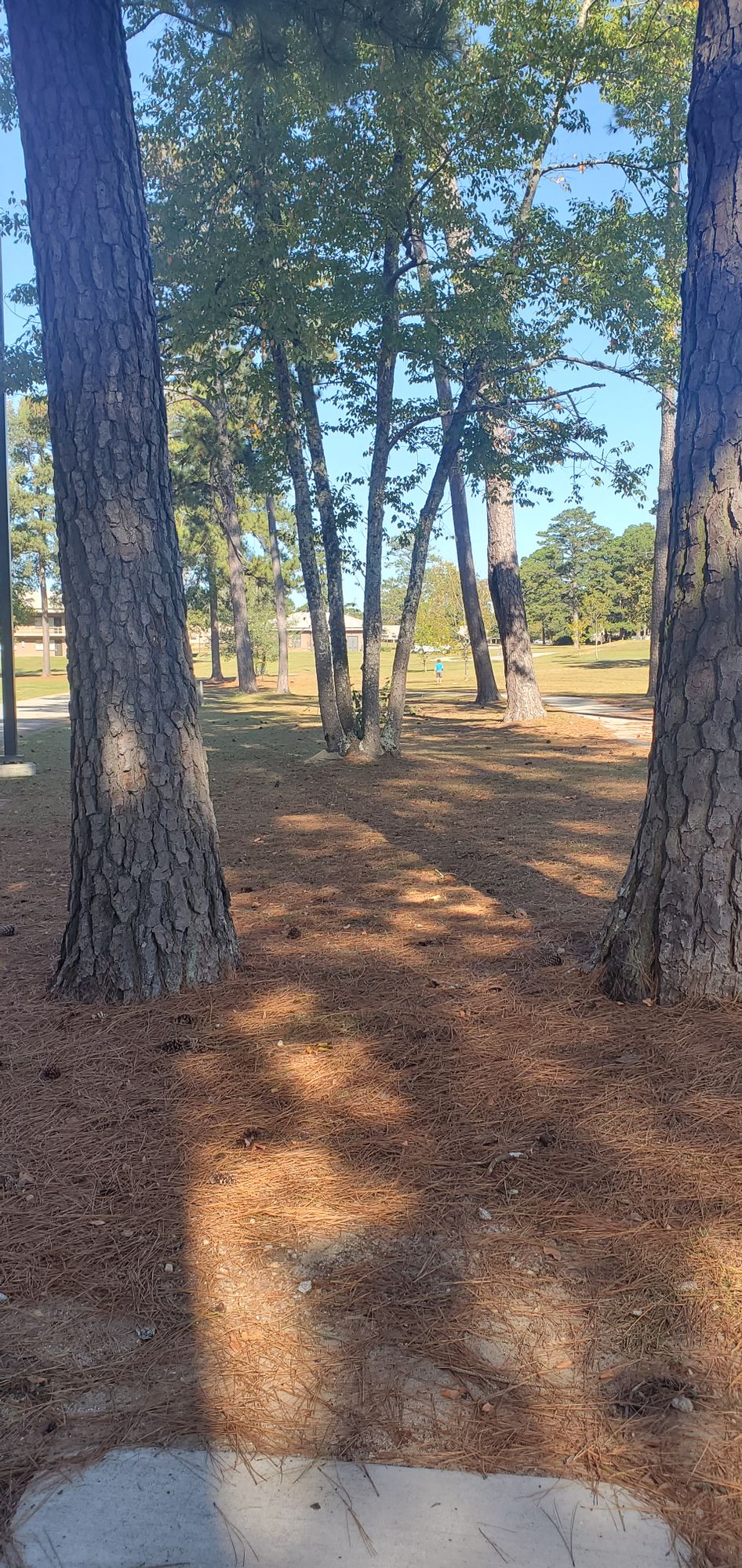 Hole 1 has an awkward start.