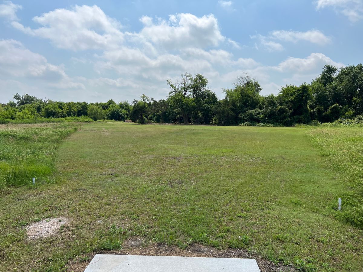 Hole 14 tee