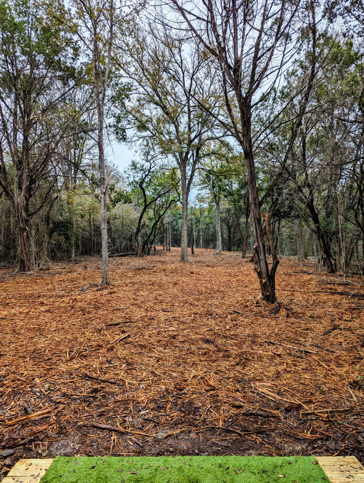 Hole 9 Tee