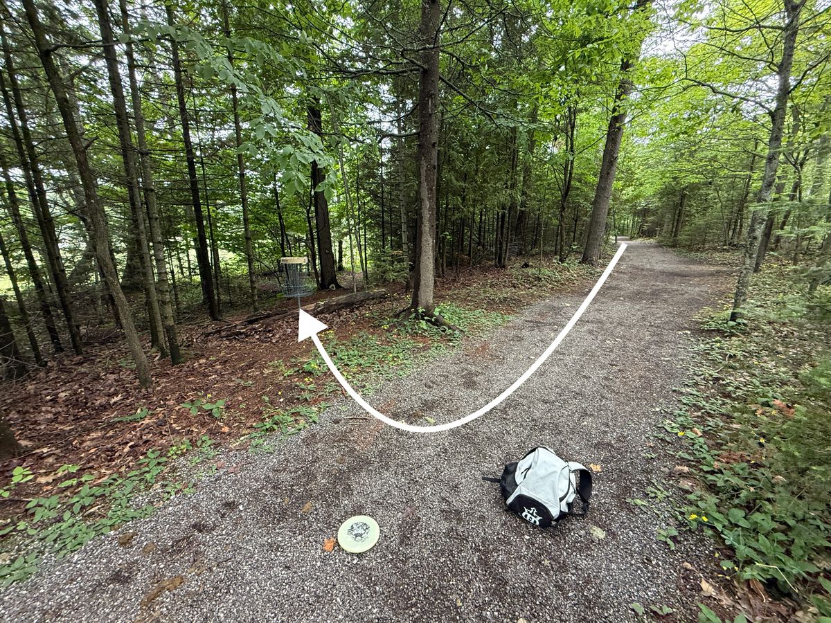 Hole 3 - view from near basket