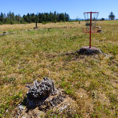Hole 18 basket/ Mt Rainier view