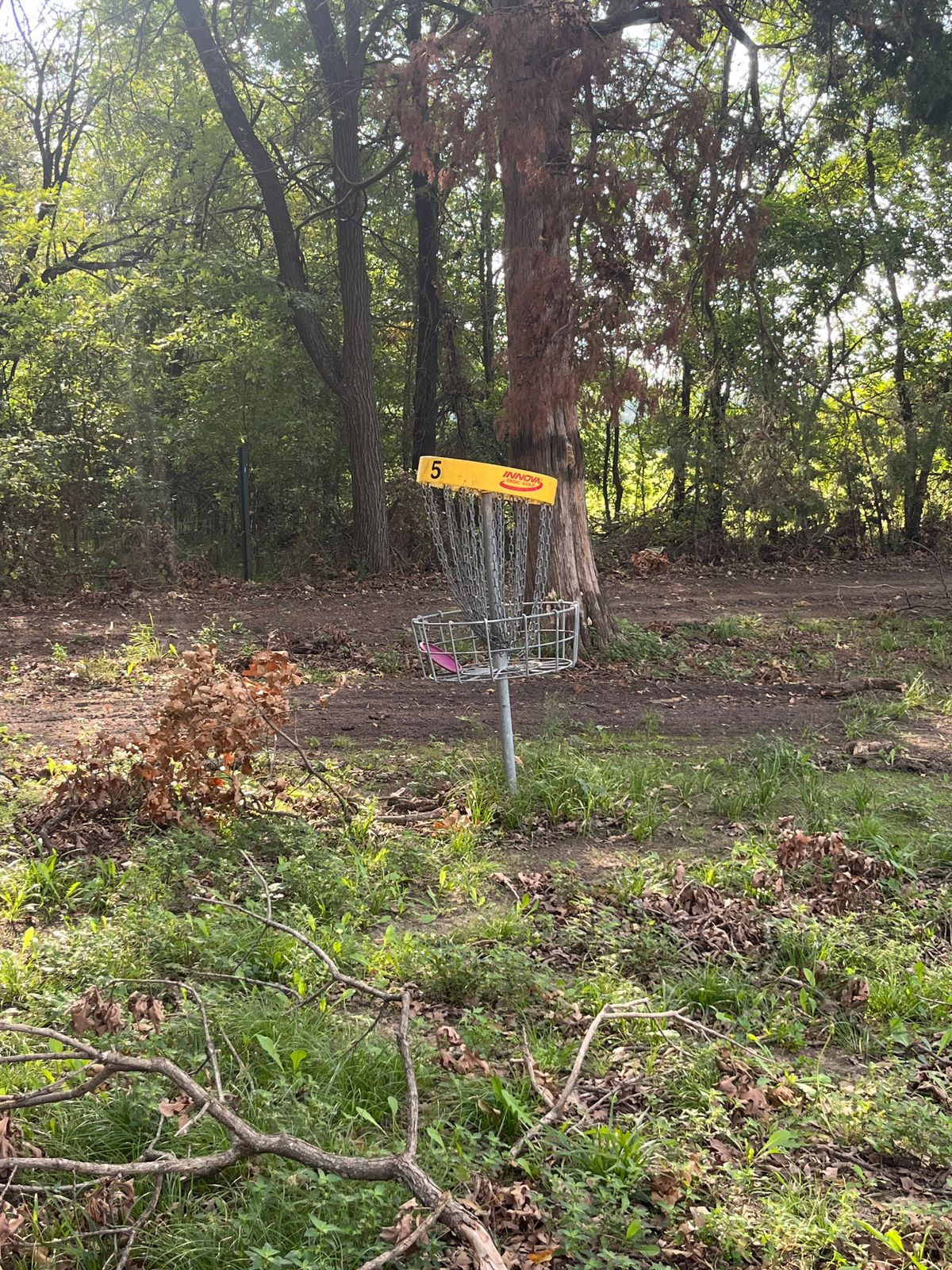 Hole 5 damaged SEP 2025 - still playable