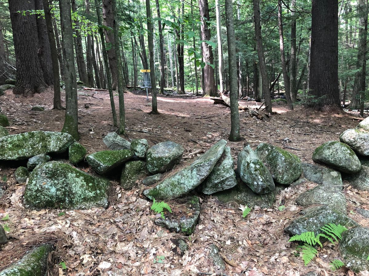 Green of Hole 8