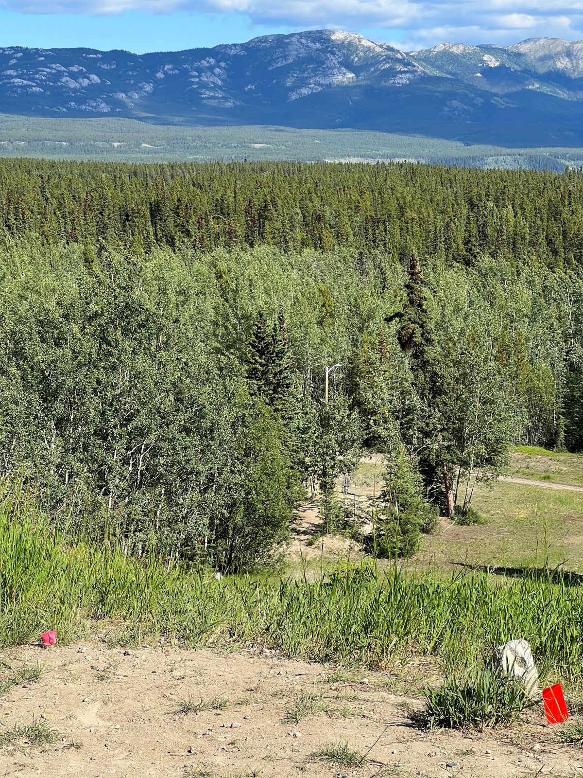 Hole 18 whites