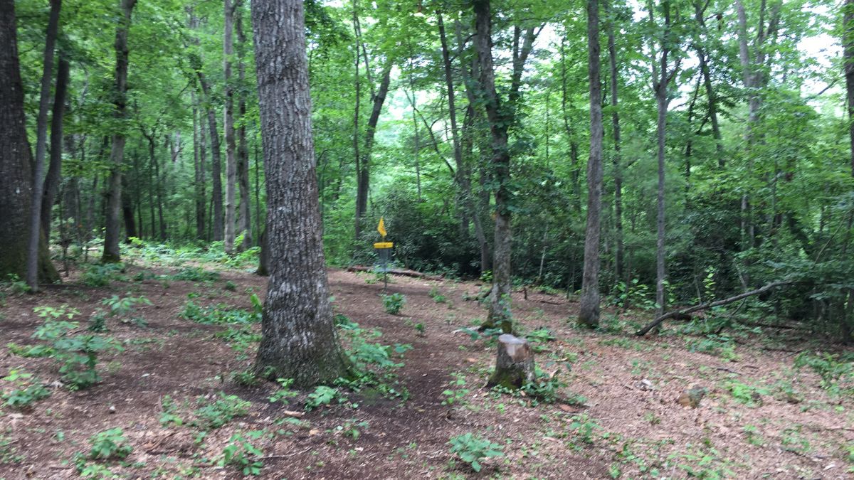 Hole 5