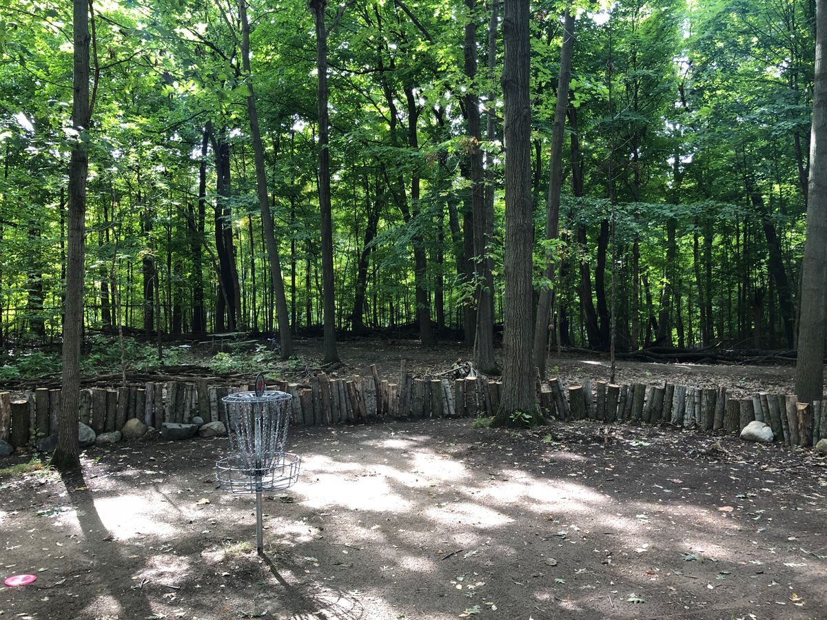 Grizzly Oaks