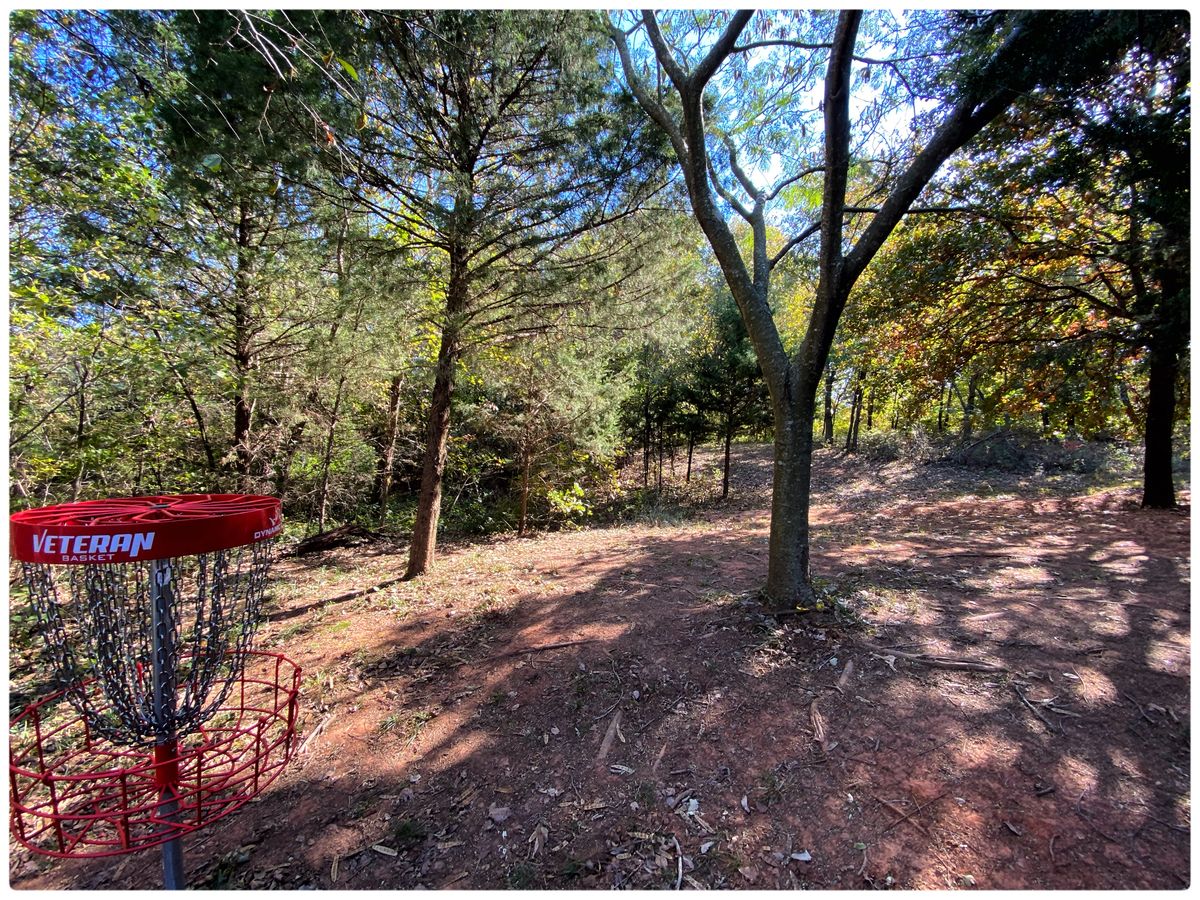 #8 green looking back towards Tee - fairway is behind the center tree