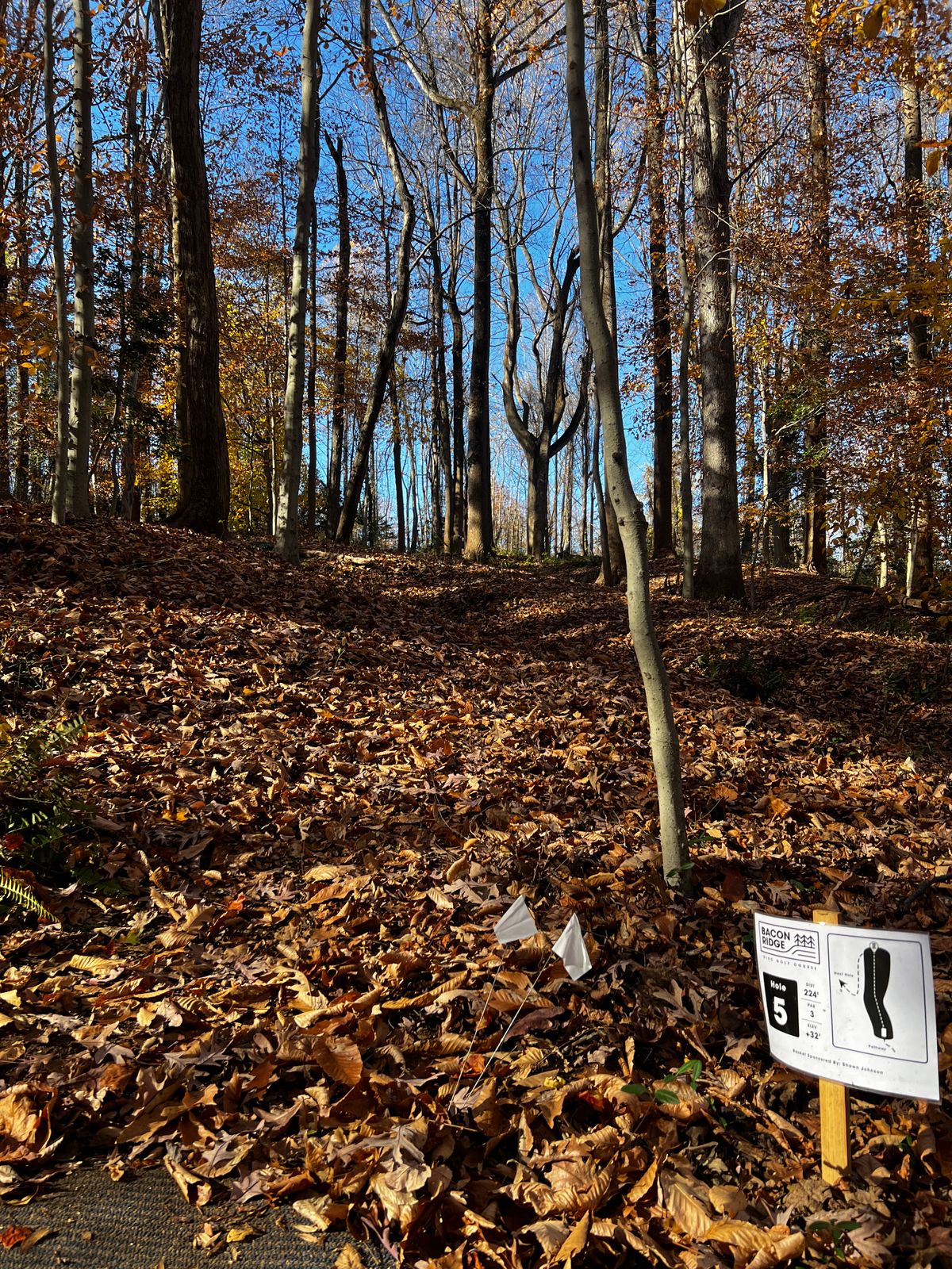 Hole five is uphill into a clearing