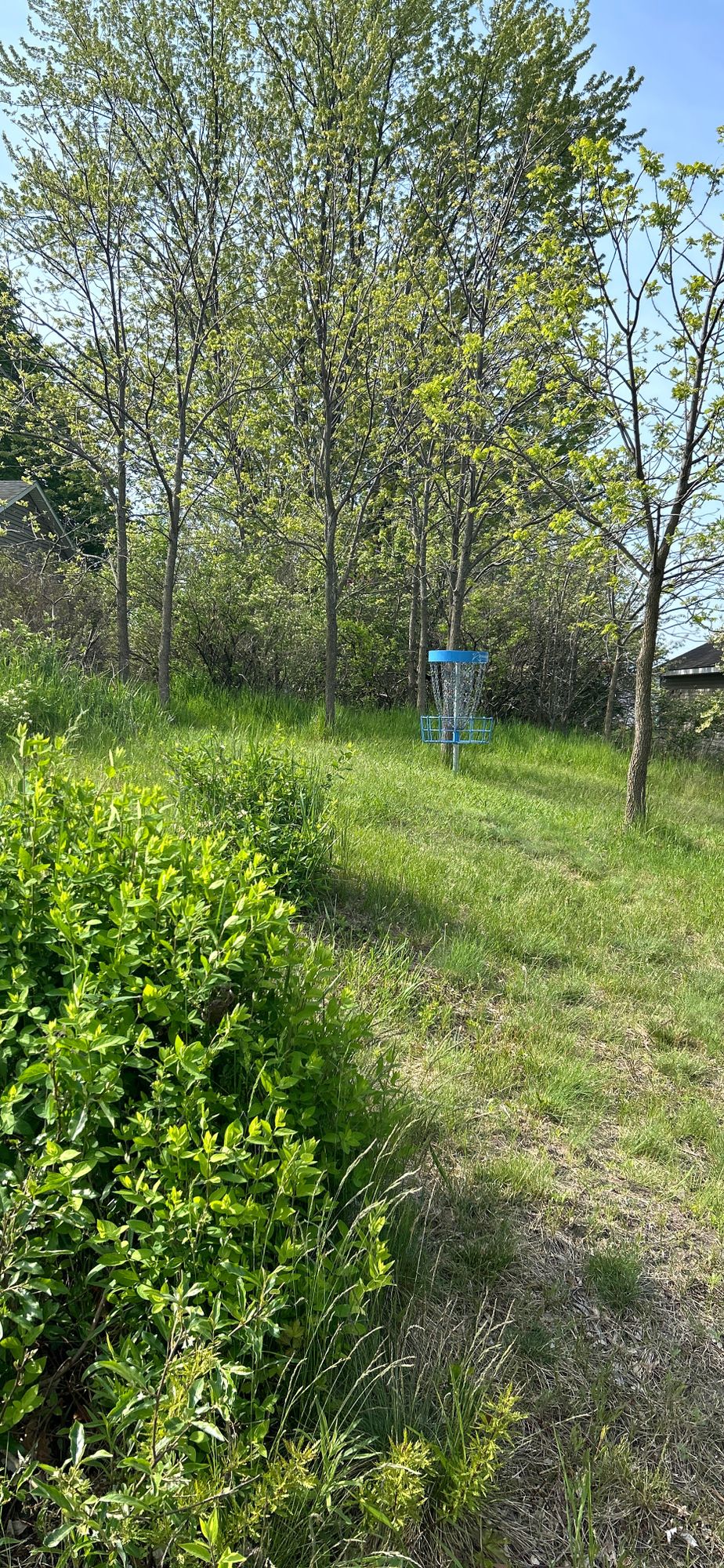 Hole #1 Approach