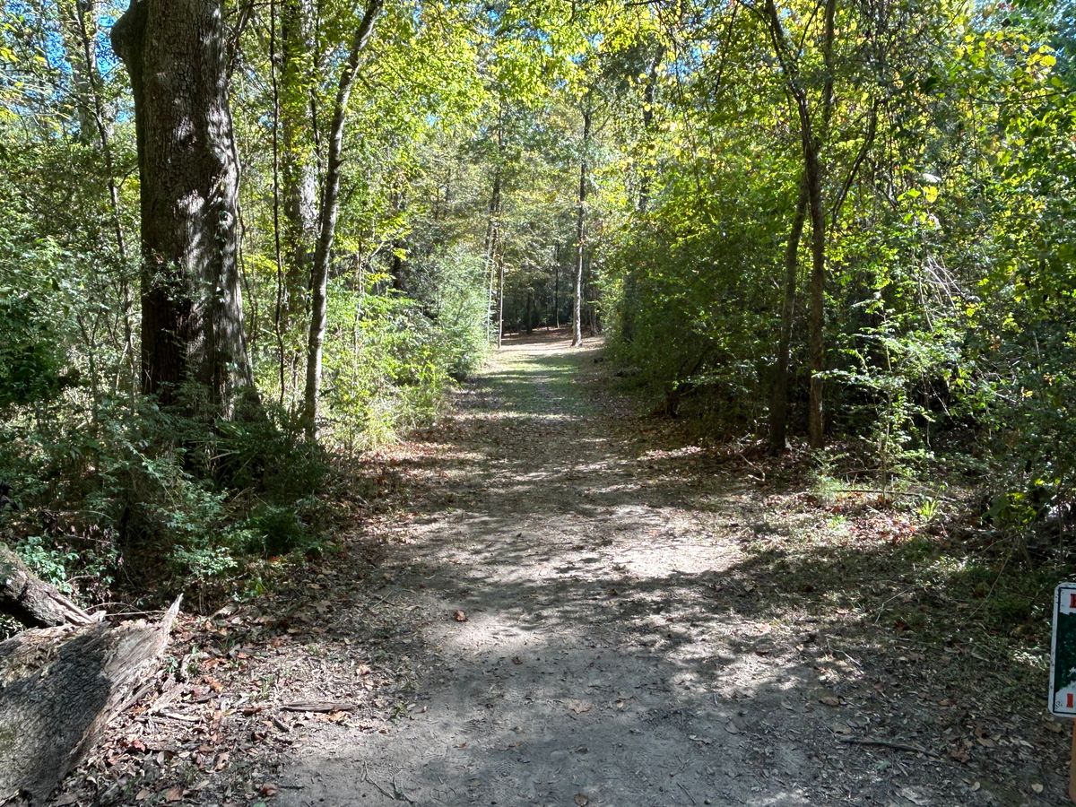 Hole 4 Fairway