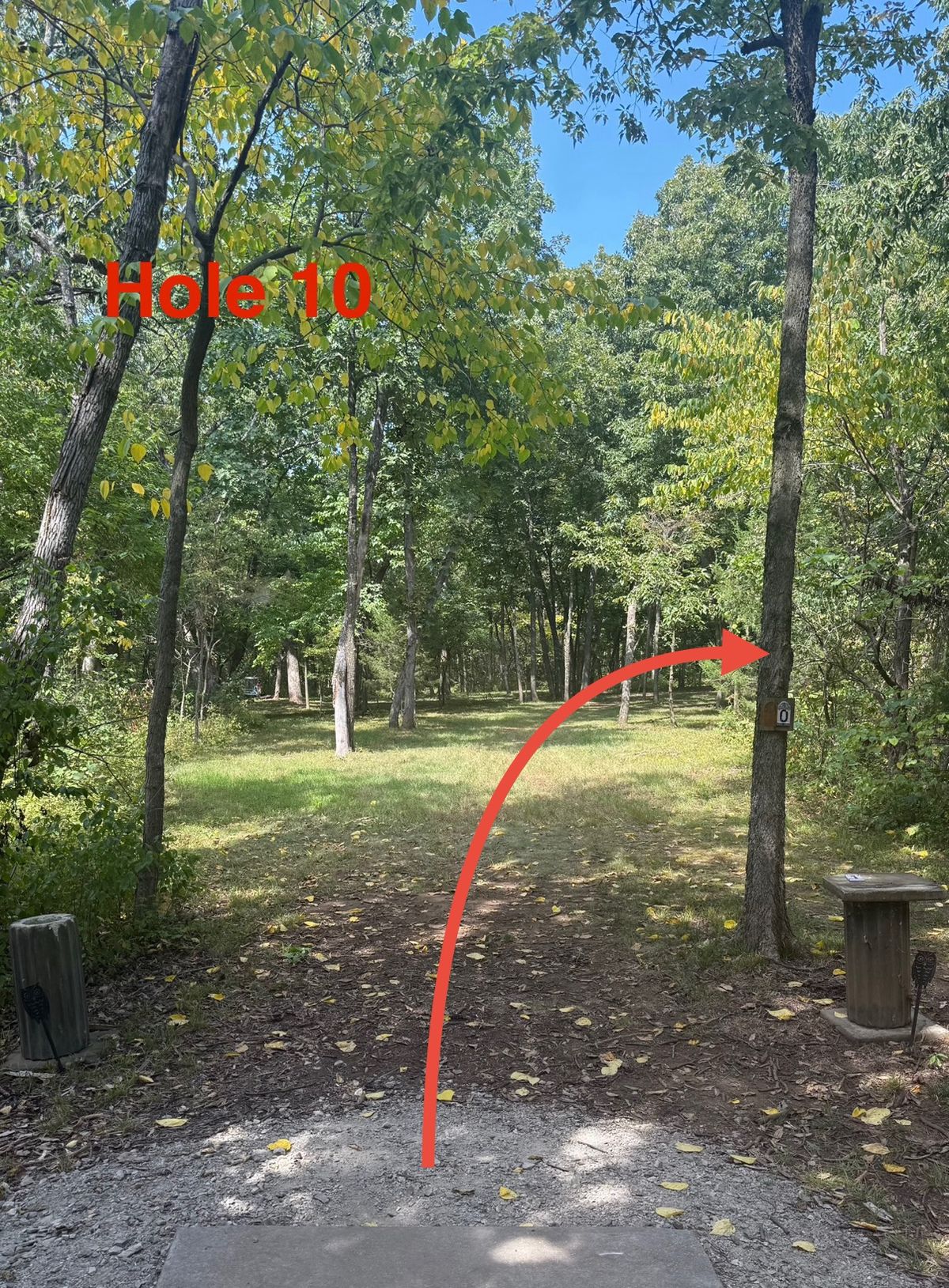 Hole 10 fairly wide open gap running left to right hyzer to a fast green