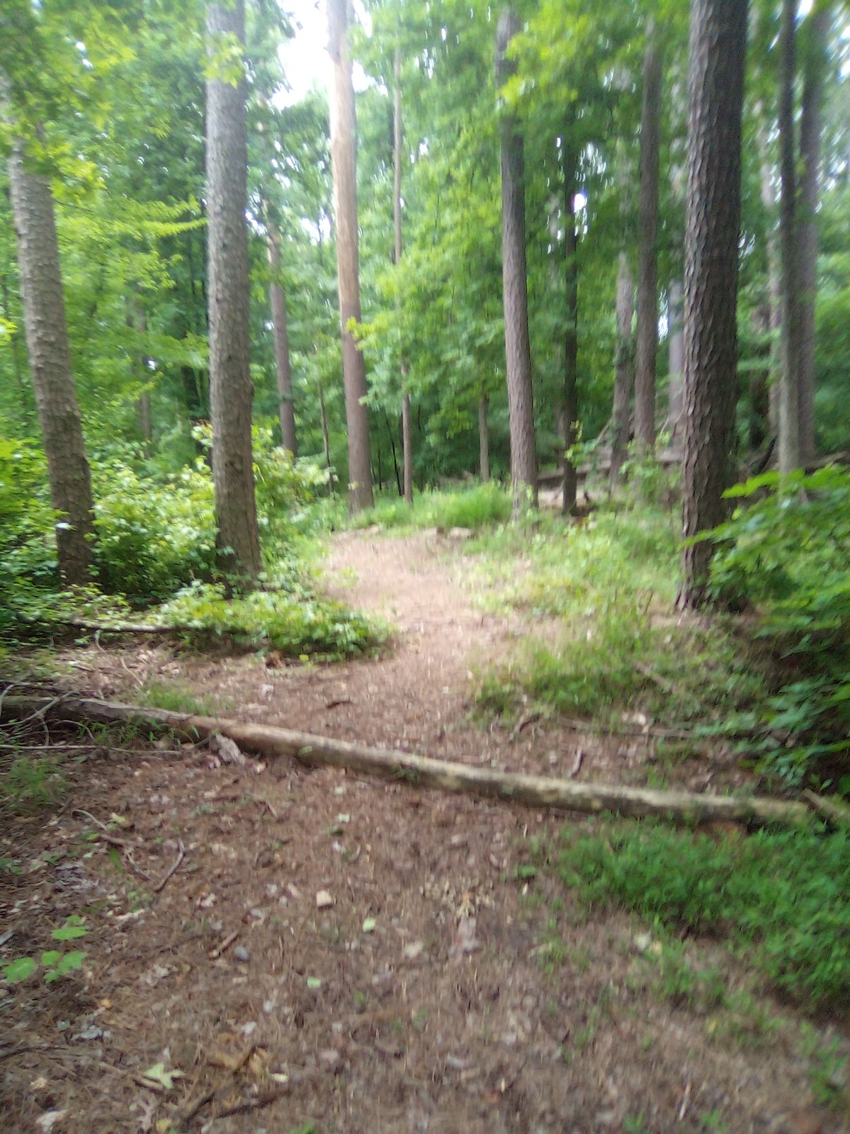 Hole 2
From the tee 6/9/24