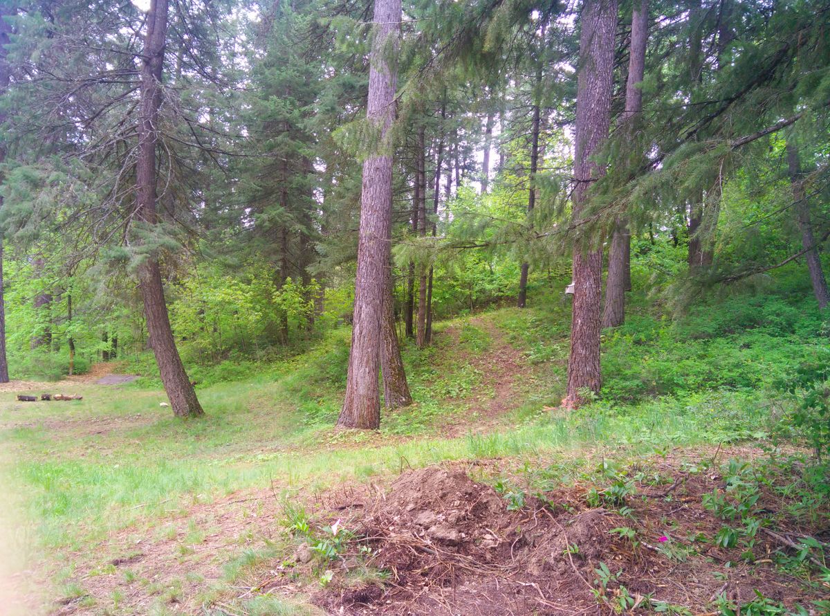 Hole 6