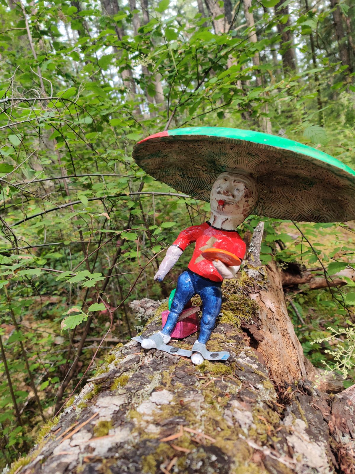 Along Mushroom Kingdom
