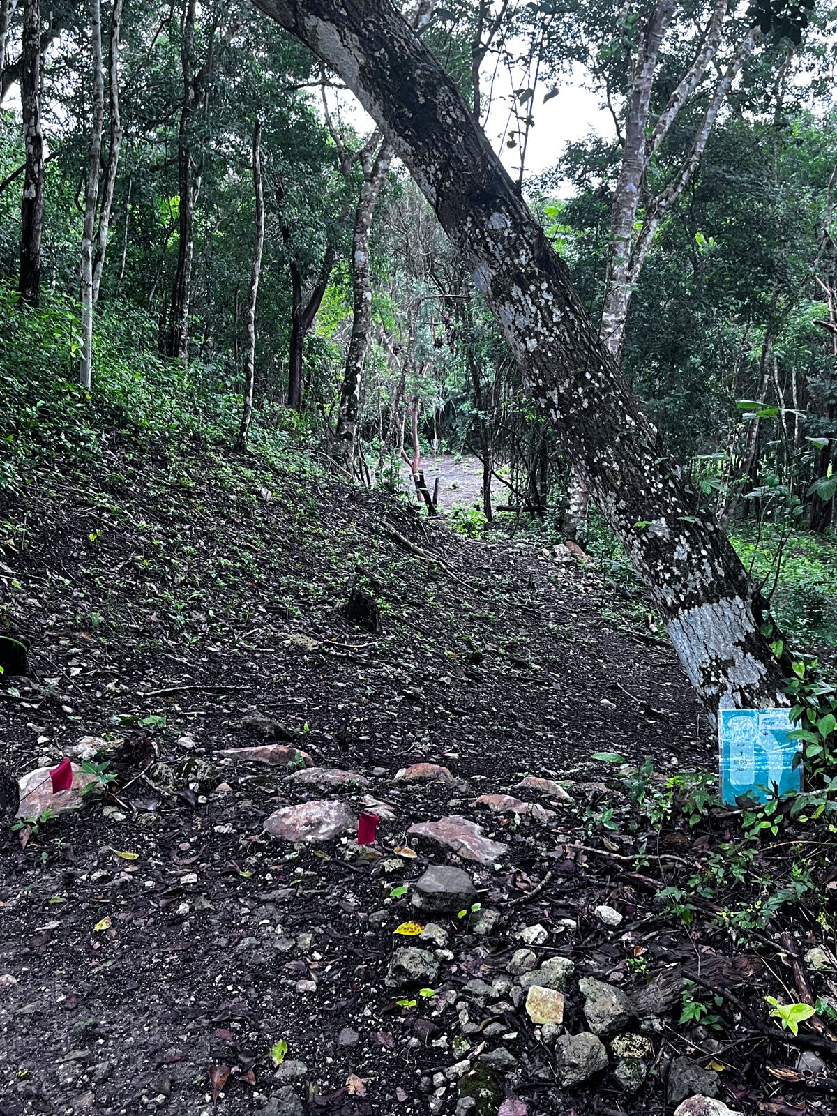 Hole 16 from on top of an unexcavated Mayan Ruin
