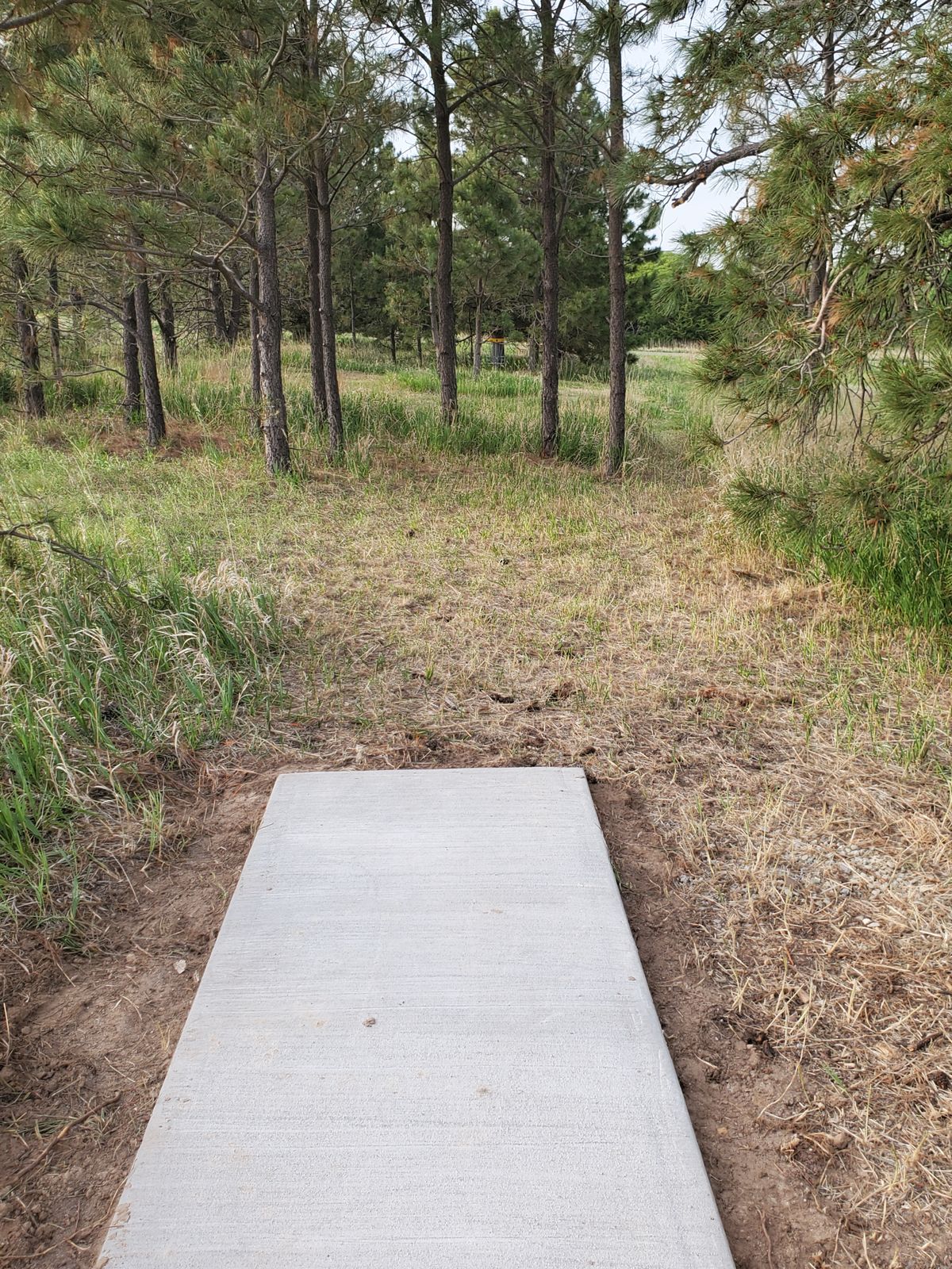Hole 8
