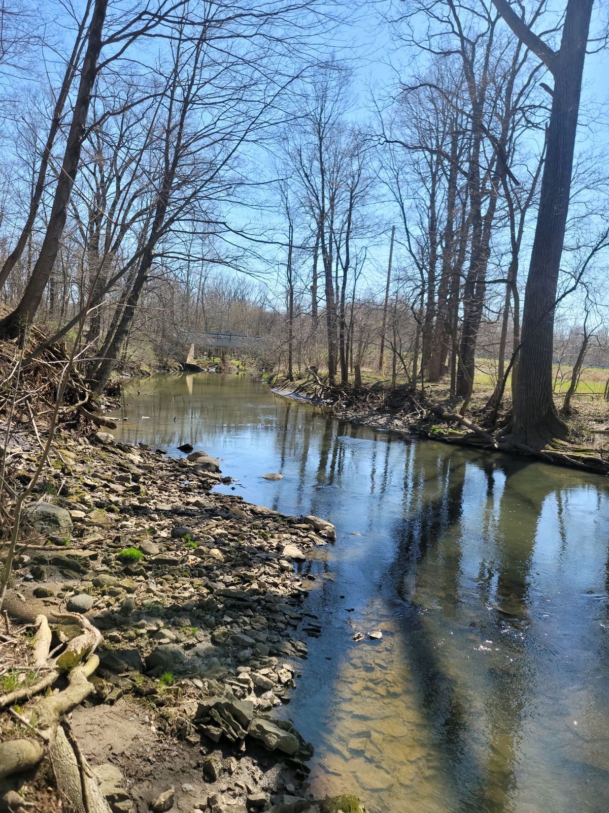 Huron River on the edge of the property.
River is OB