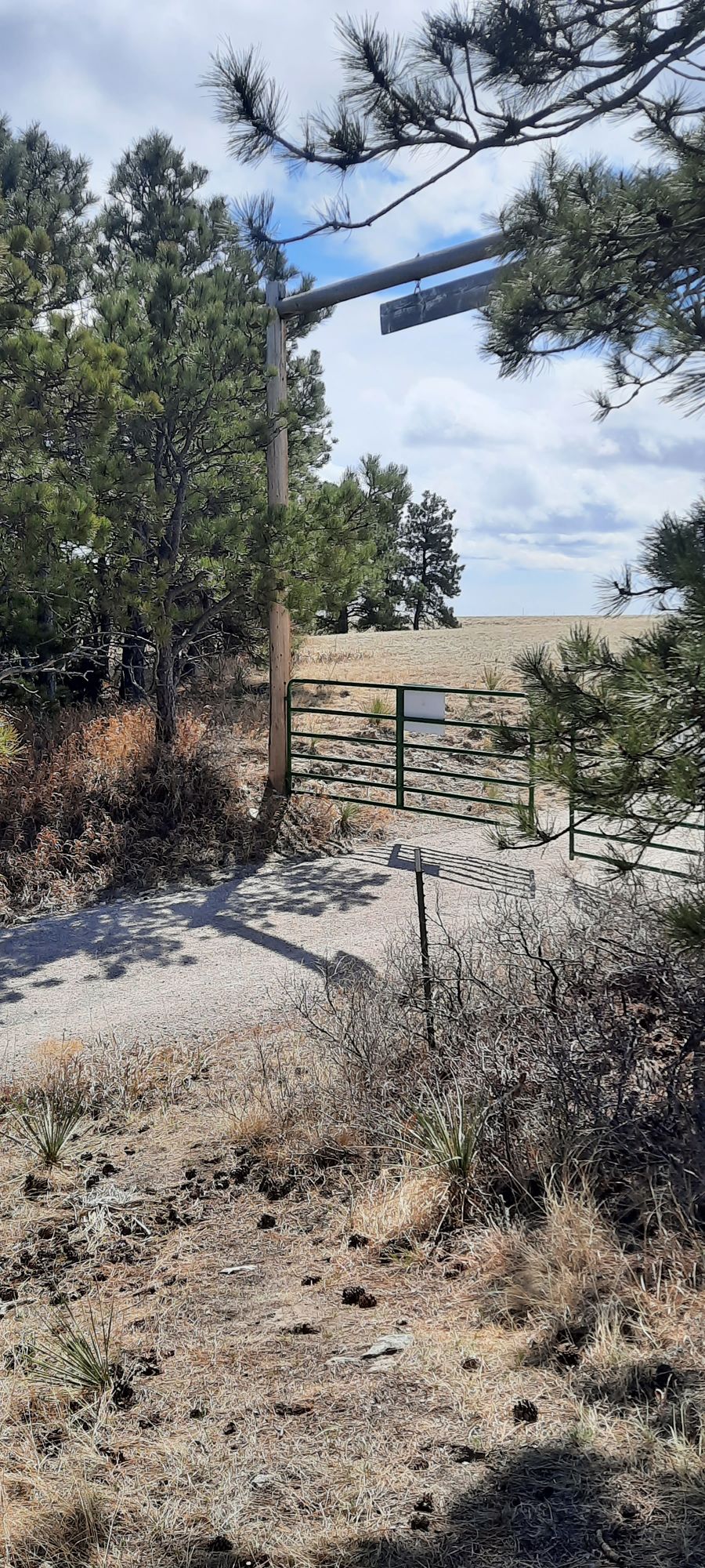 Hole 2 from tee