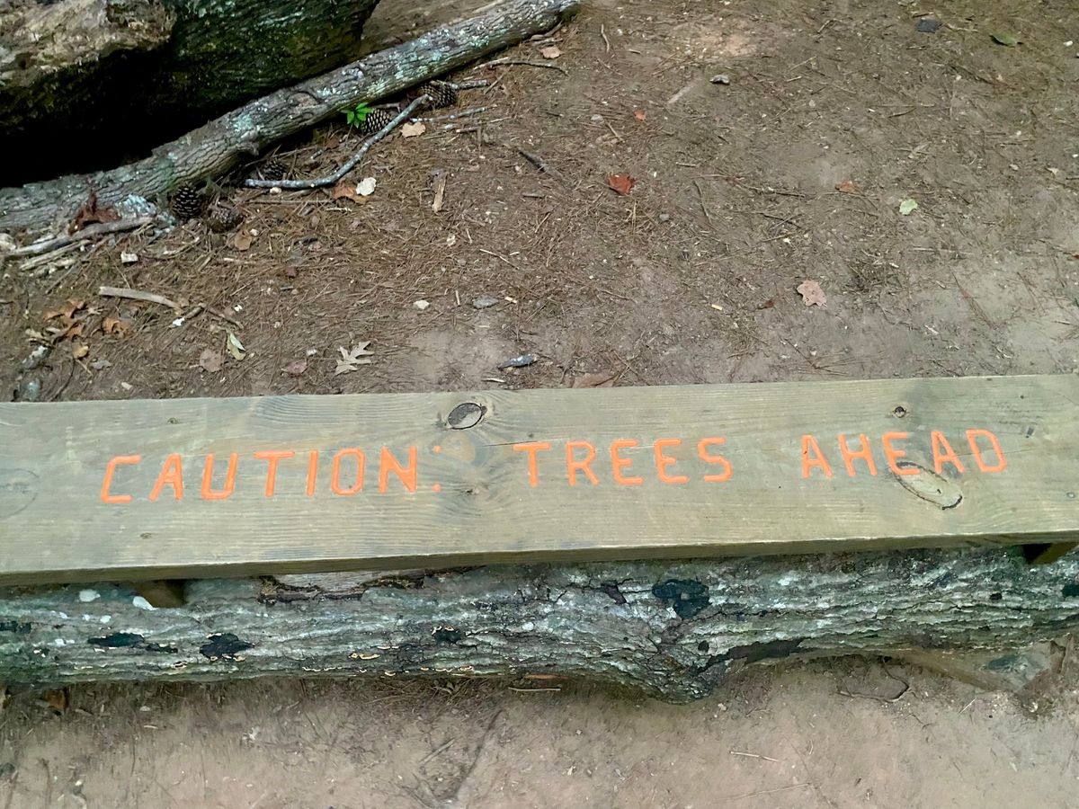 Sage advice on hole 1