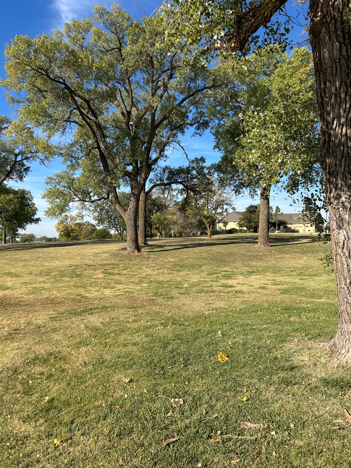 Hole 12