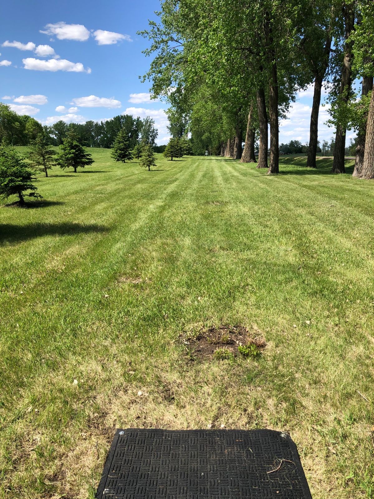 Hole 2 Tee