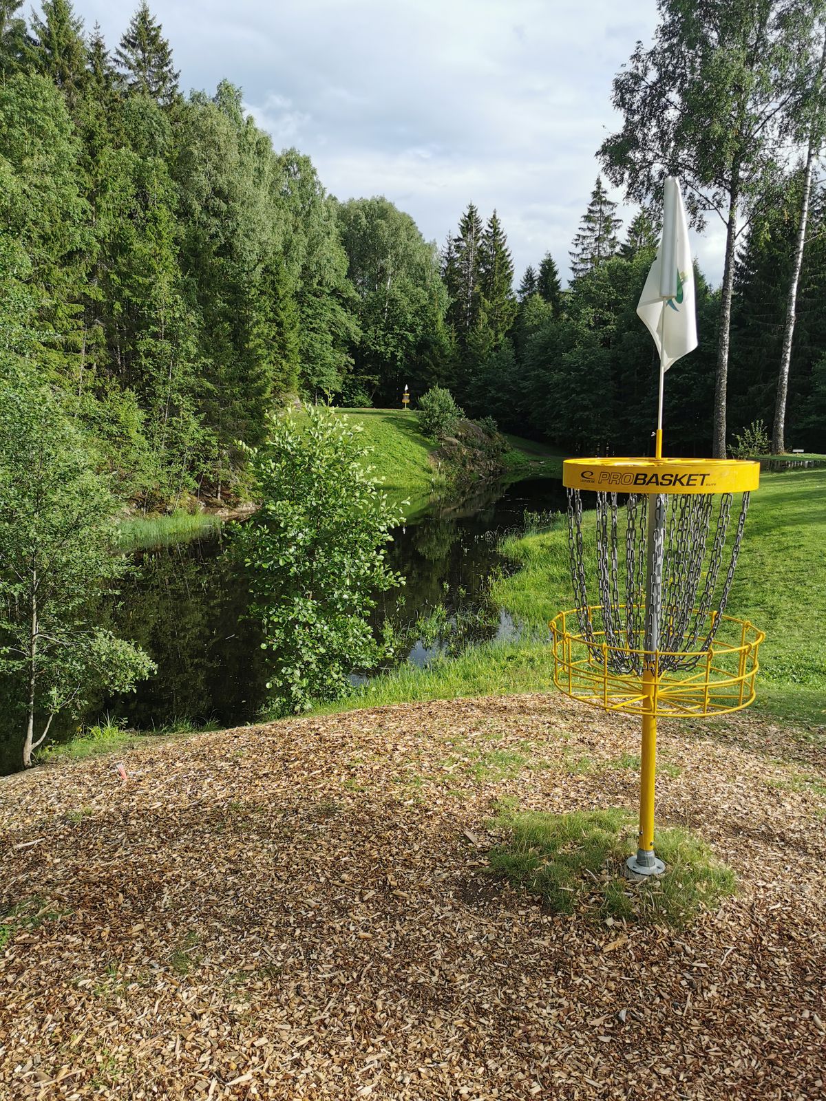 Green Hole 14