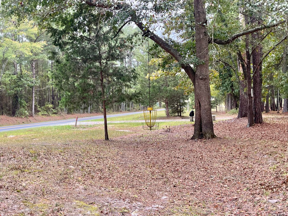 Hole 2 Basket