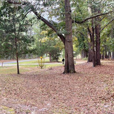 Hole 2 Basket