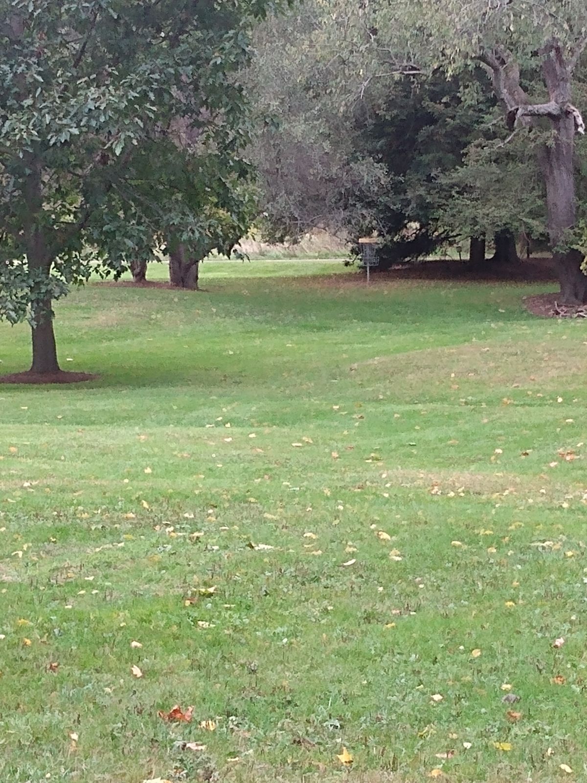 White tee hole #1