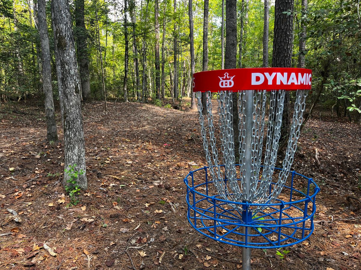 Hole 7 basket