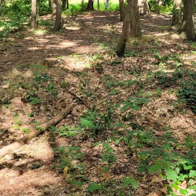 Hole 7 - part 2