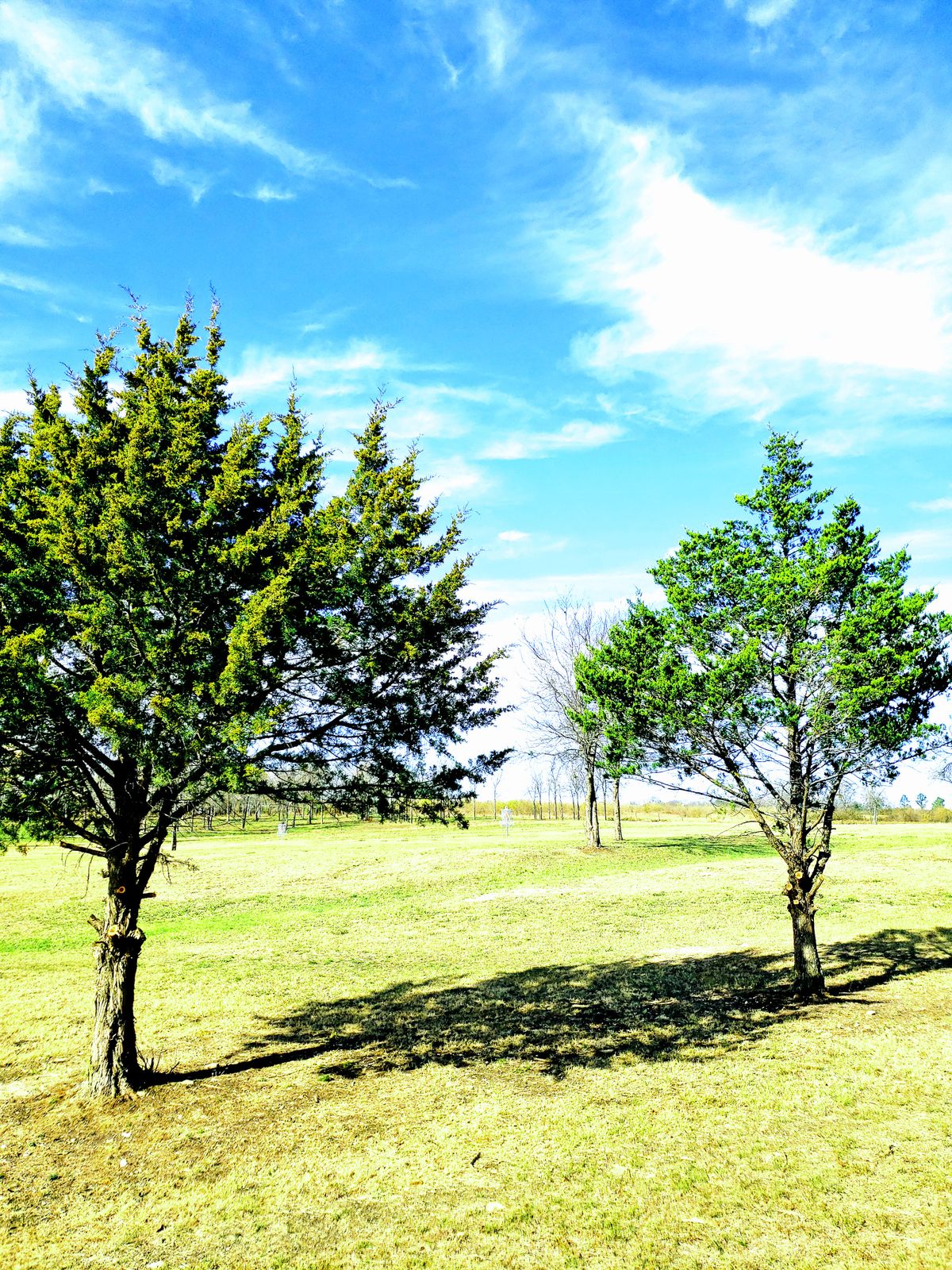 8th Fairway