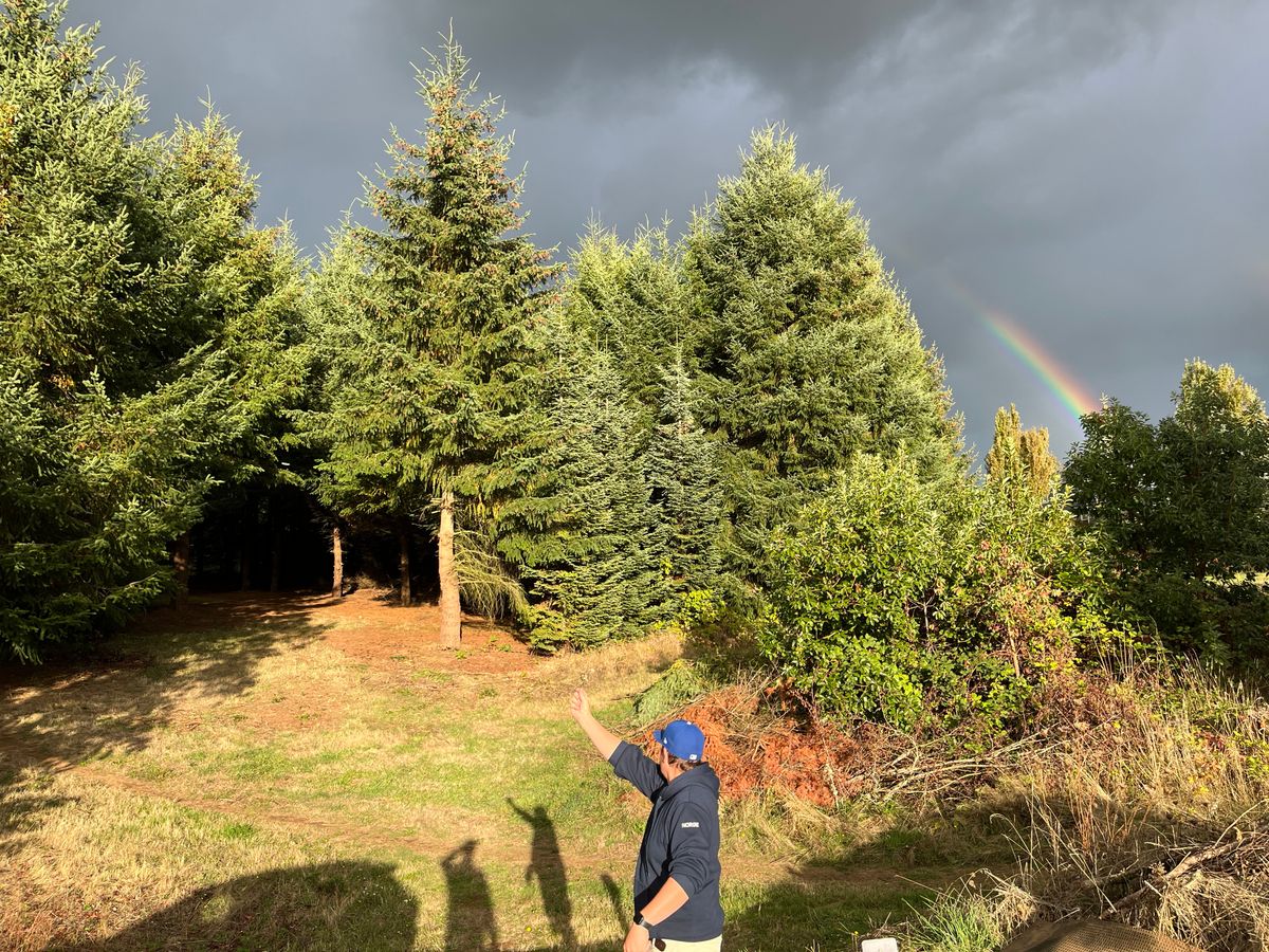 From tee box