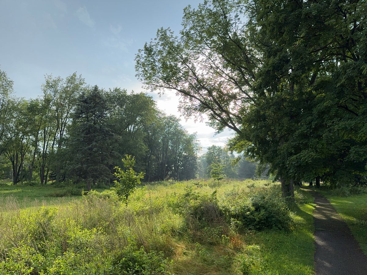 Path between 16 and 17 after a summer storm