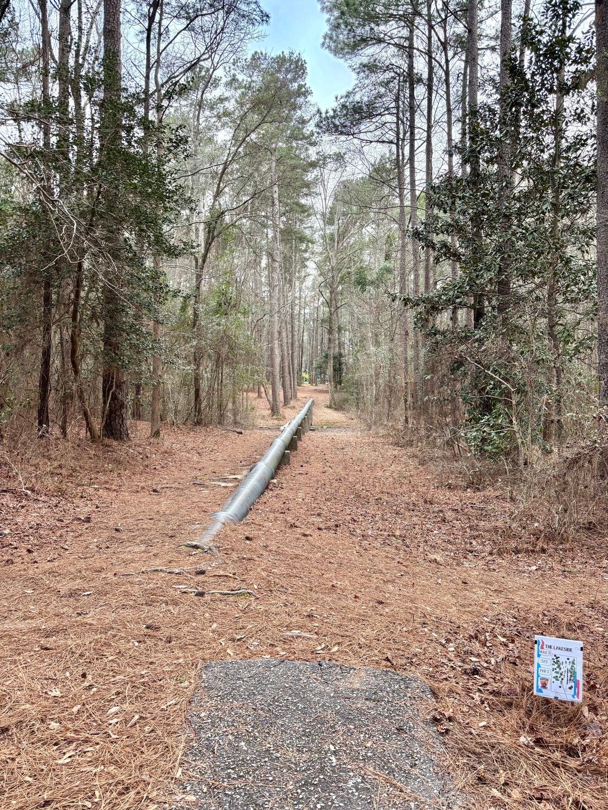 Hole 5 Tee
