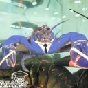 businesslobster